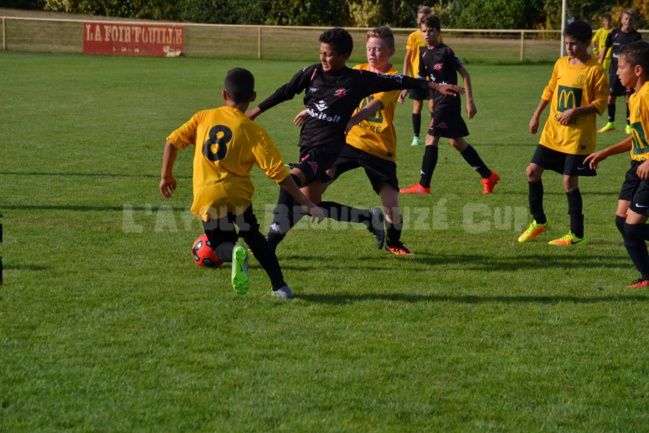 Le S.O Cholet pour la troisième année consécutive Le S.O Cholet pour la troisième année consécutive