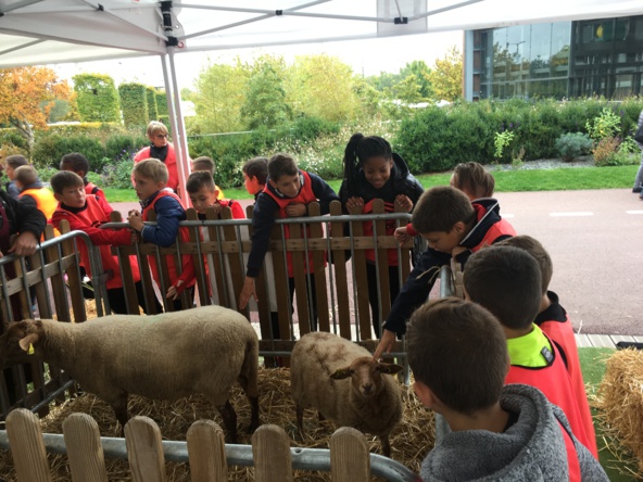 Stage de la Toussaint Stage de la Toussaint