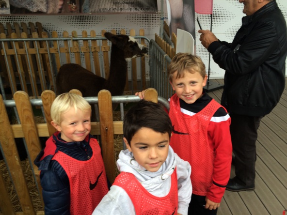 Stage de la Toussaint Stage de la Toussaint