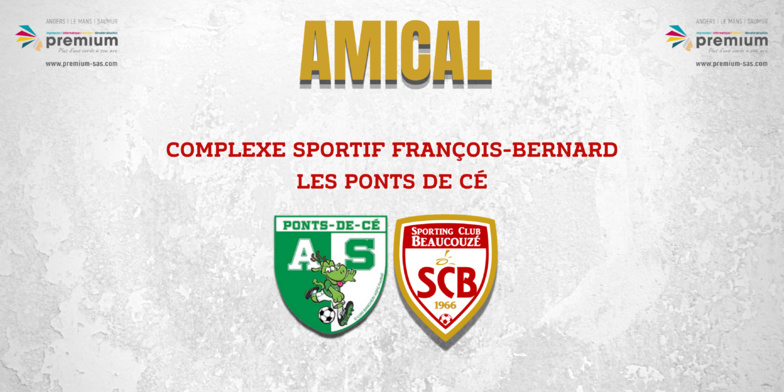 Séniors Féminines - Premier match amical et une victoire face aux Ponts de Cé Séniors Féminines - Premier match amical et une victoire face aux Ponts de Cé