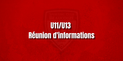 Réunions d'informations