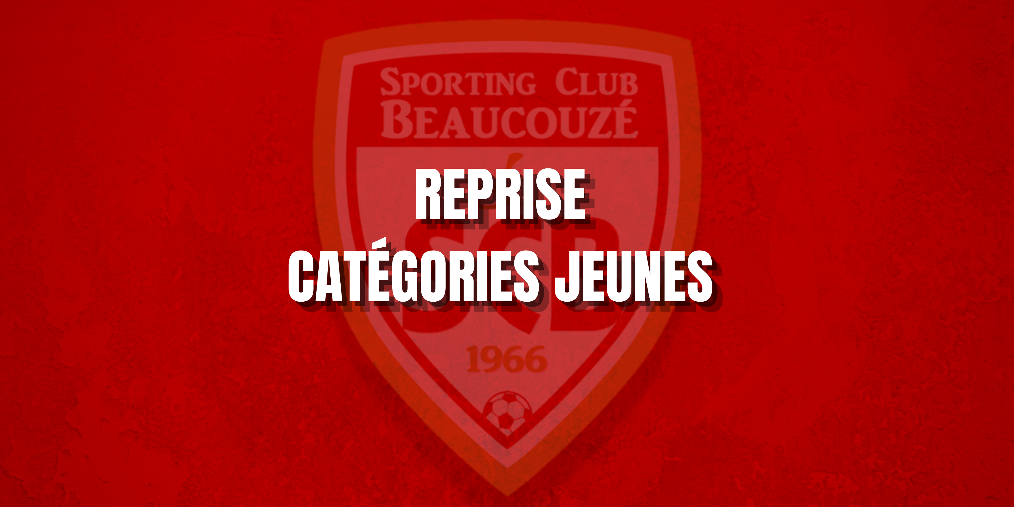 Planning de reprise !