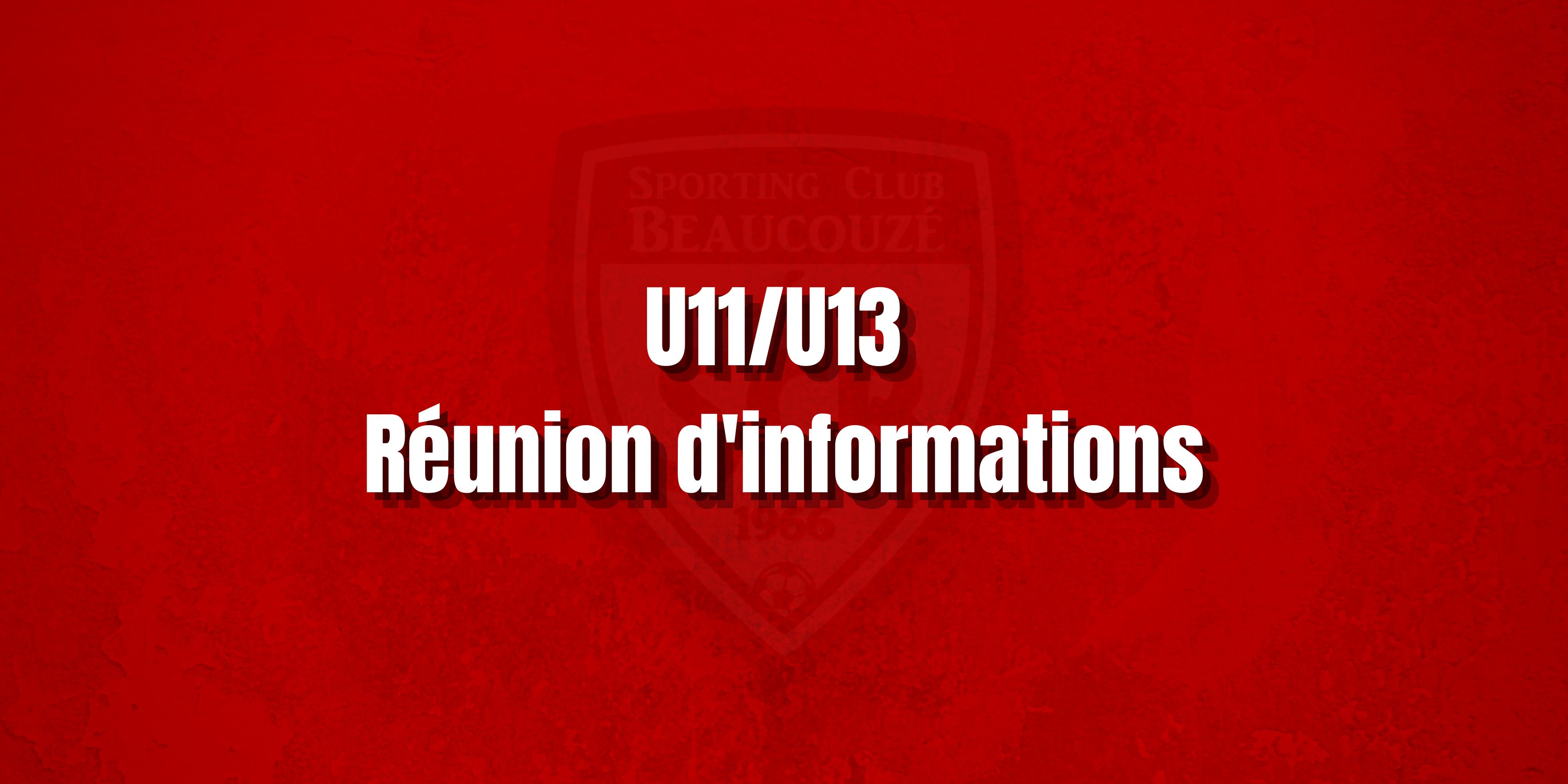 Réunions d'informations